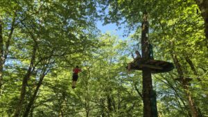 Lire la suite à propos de l’article Accrobranche : à quel âge peut-on commencer ? Le guide par parcours